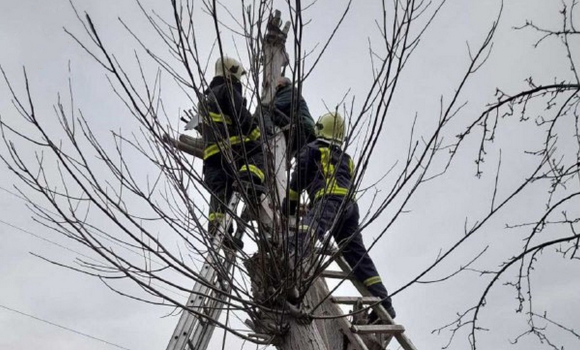 Могилів-Подільські рятувальники допомогли пенсіонерові, який застряг на дереві