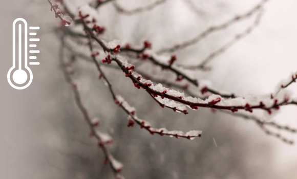 Мокрий сніг та дощ накриють Вінниччину 6 січня