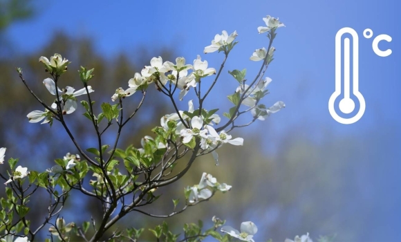 Морози продовжують випробовувати Вінницю та область на міцність