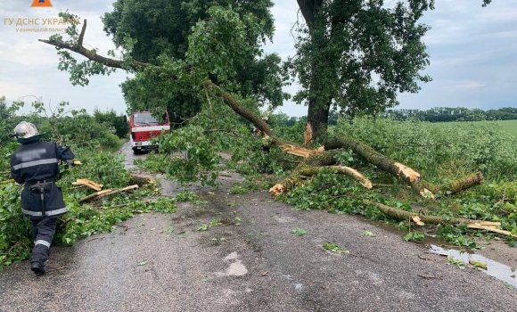 На автодорогу поблизу села Гавришівка Вінницького району впало дерево