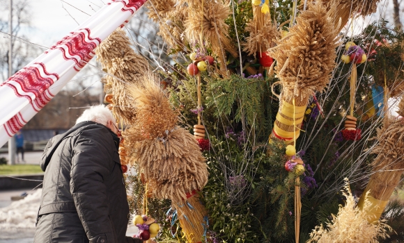 На Європейській площі у Вінниці з’явилися різдвяні зірки та триметровий дідух