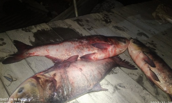 На гарячому спіймали чоловіка, який в Ладижині ловив рибу "драчем"