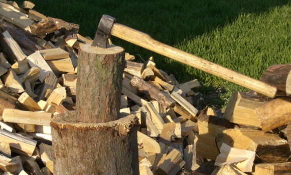 На Гайсинщині лісівники активно забезпечують населення дровами