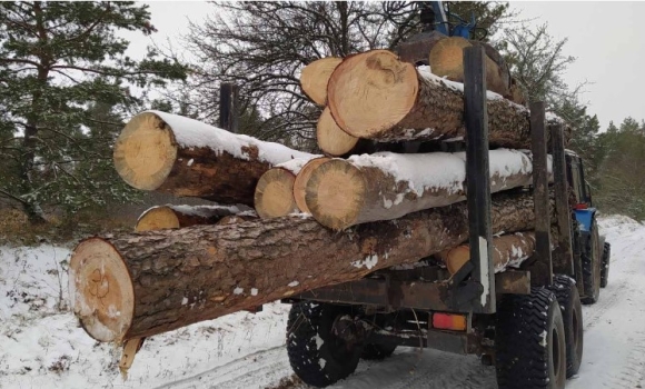 На Гайсинщині тракторами та вантажівками вивозили деревину без документів