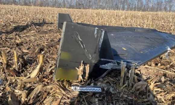 На кукурудзяному полі вінничанин знайшов збитий “шахед”, який не здетонував