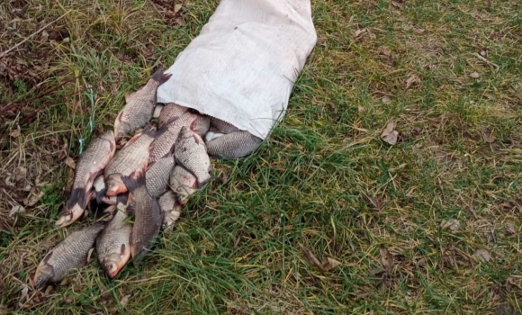 На Південному Бузі браконьєр незаконно виловив майже 30 кілограмів риби На Південному Бузі браконьєр незаконно виловив майже 30 кілограмів риби