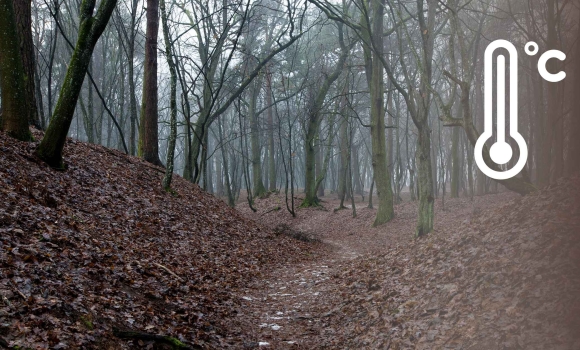 На початку грудня температура на Вінниччині буде здебільшого теплою