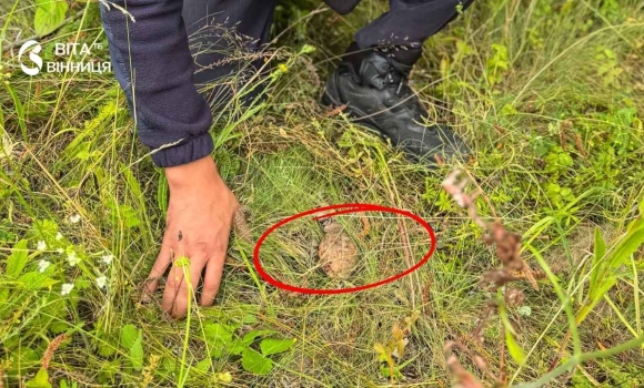 На подвір'ї приватного будинку на Вінниччині знайшли бойову гранату На подвір'ї приватного будинку на Вінниччині знайшли бойову гранату