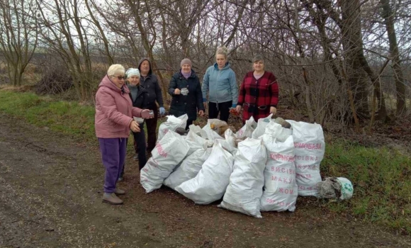 На території старостинських округів Вінницької громади провели весняні толоки