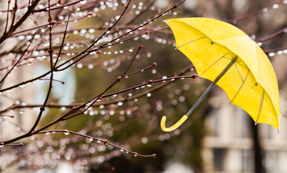 На вінничан чекає дощовий тиждень, не забувайте про парасольки