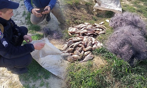 На Вінниччині браконьєр під час нересту наловив риби на майже 300 тис. грн