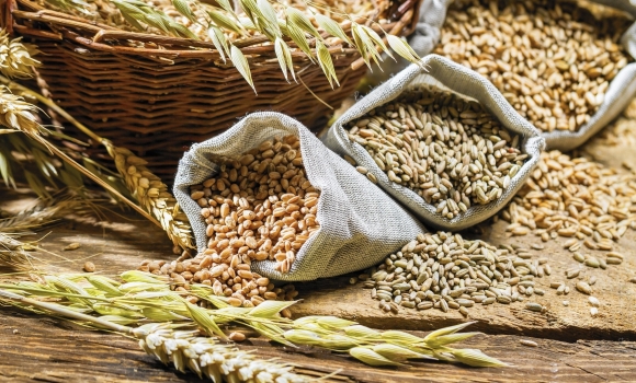 На Вінниччині є запаси зерна десь на чотири роки: чому це мінус, а не плюс