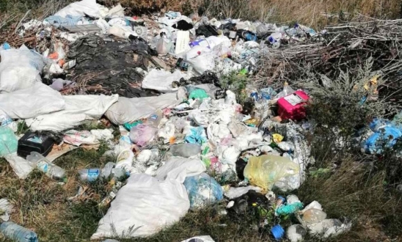 На Вінниччині екологи виявили вісім несанкціонованих звалищ