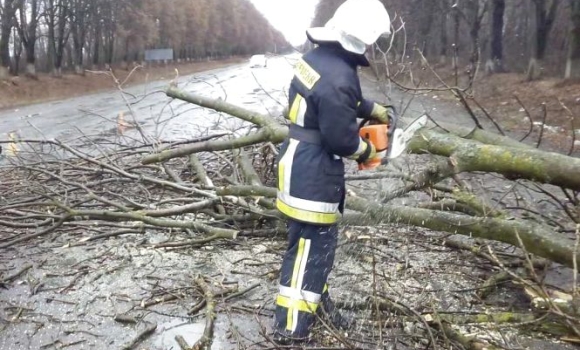 Через негоду на Вінниччині повалило дерева