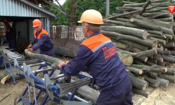На Вінниччині лісівники заготовляють дрова до опалювального сезону