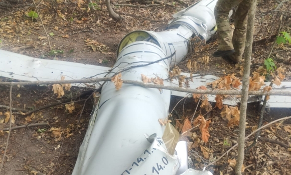 На Вінниччині лісівники знайшли ракету, яку збила протиповітряна оборона