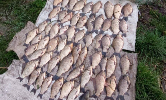 На Вінниччині менш ніж за місяць рибалки завдали збитків на 13 млн грн