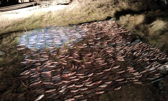 На Вінниччині молодики сітками наловили риби на понад 1,2 млн грн