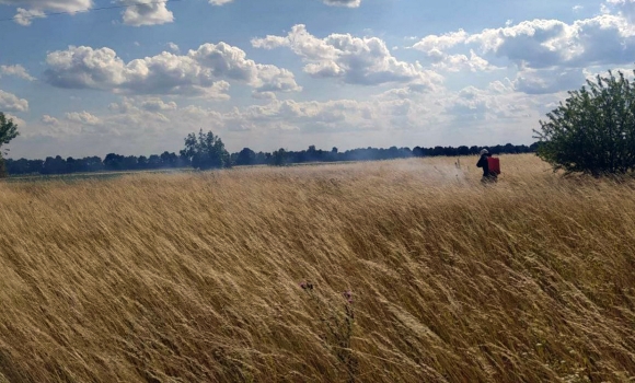 На Вінниччині недбалість призвела до займання посівів пшениці