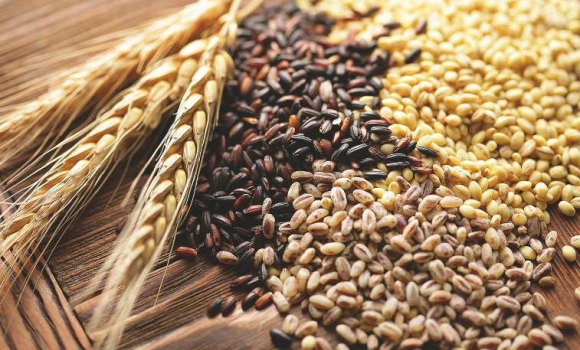 На Вінниччині обмолотили понад половину площ ранніх зернових та зернобобових