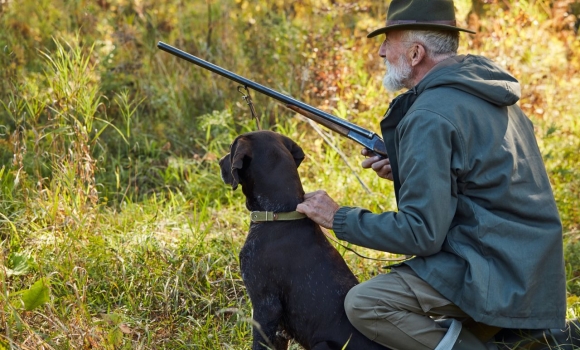 На Вінниччині оштрафували 319 порушників правил полювання