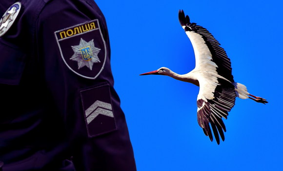 На Вінниччині поліцейський офіцер громади врятував пораненого птаха