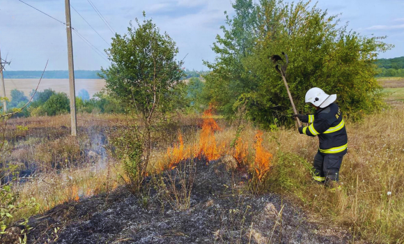 На Вінниччині протягом доби вогонь обпалив п'ять гектарів землі