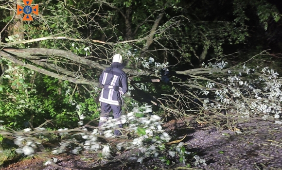 На Вінниччині рятувальники двічі за добу прибирали з дороги повалені дерева