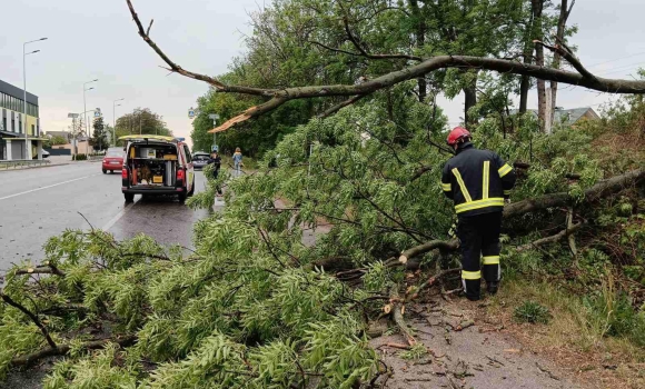 На Вінниччині рятувальники прибирали повалені вітром дерева