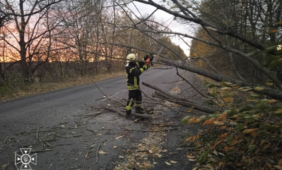 На Вінниччині сильний вітер повалив дерева на дороги та автомобілі