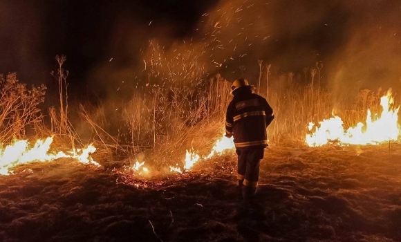 На Вінниччині сталося понад пів сотні пожеж через спалювання трави