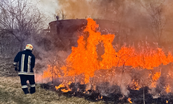 На Вінниччині за добу, 6 червня, сталося вісім пожеж в екосистемах