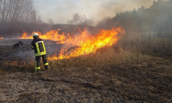 На Вінниччині за добу чотири рази гасили пожежі в екосистемах