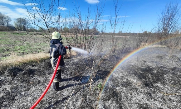 На Вінниччині за добу сталося 18 пожеж через паління сухої трави