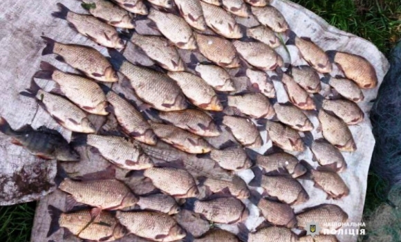 На Вінниччині за місяць браконьєри виловили ледь не тонну риби
