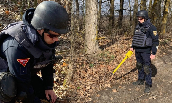 На Вінниччині знайшли артснаряд та ручну протипіхотну гранату