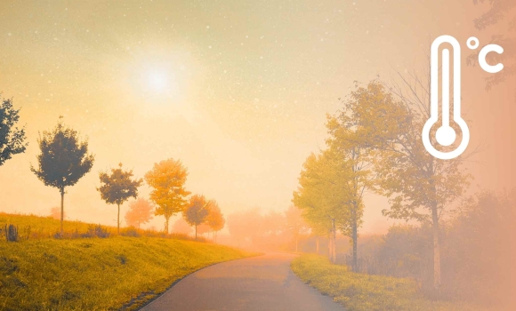 На Вінниччині 14 листопада - тумани, без опадів