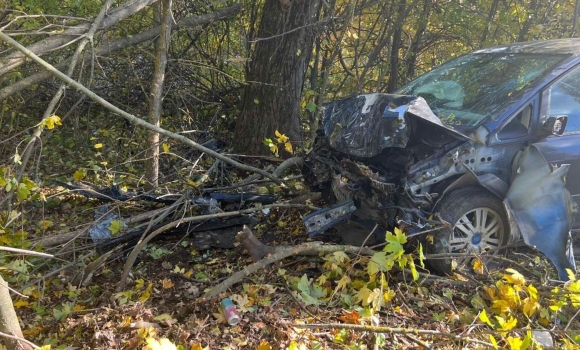 На Вінниччині 80-річний водій не впорався з керуванням і з’їхав у кювет