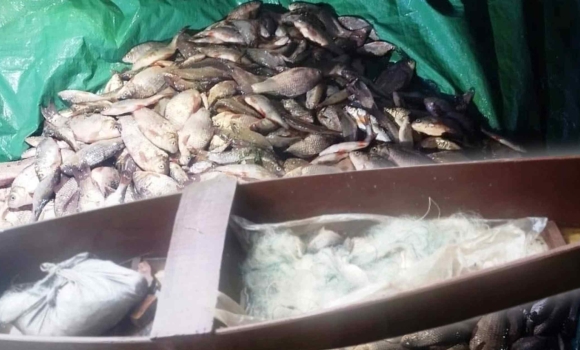 На Вінниччині браконьєри 191 раз порушили нерестову заборону