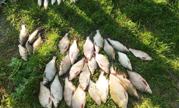 На Вінниччині браконьєри сітками наловили риби на майже 70 тис. грн