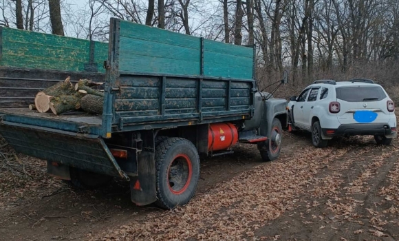 На Вінниччині браконьєри вирубали дерев у полезахисній лісовій смузі на 620 тисяч гривень