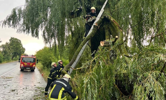 На Вінниччині через негоду рятувальники 11 разів виїжджали на розкряжування дерев
