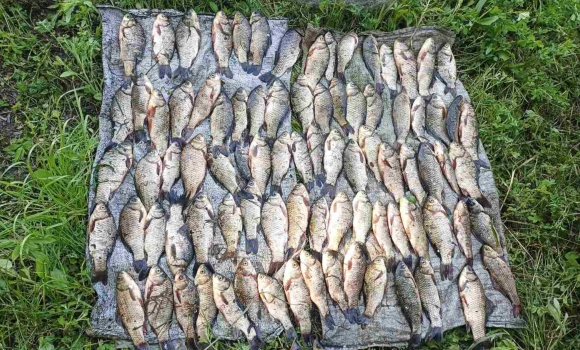На Вінниччині чоловік незаконно наловив риби на понад 140 тисяч гривень