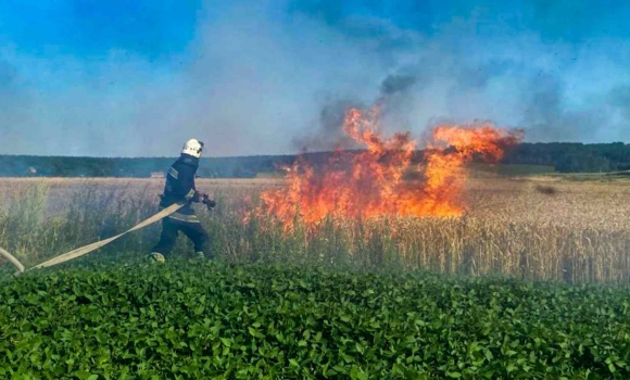 На Вінниччині горіли екосистеми горіли в чотирьох районах