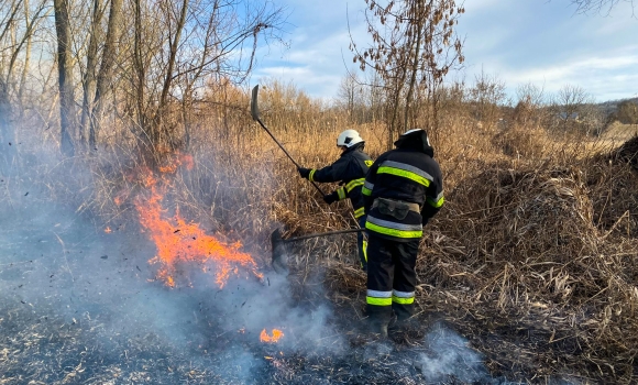 На Вінниччині горіли екосистеми в усіх районах області на площі понад 25 гектарів