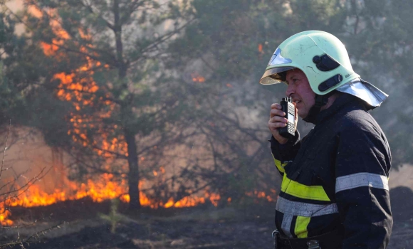 На Вінниччині горіли сосни й господарчі споруди - загорілося на території одразу двох громад