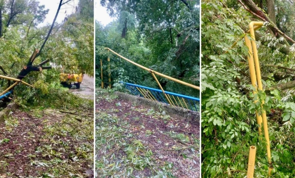 На Вінниччині негода повалила дерево на наземний газопровід