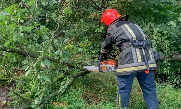 На Вінниччині негода валила дерева на дороги, авто та гаражі