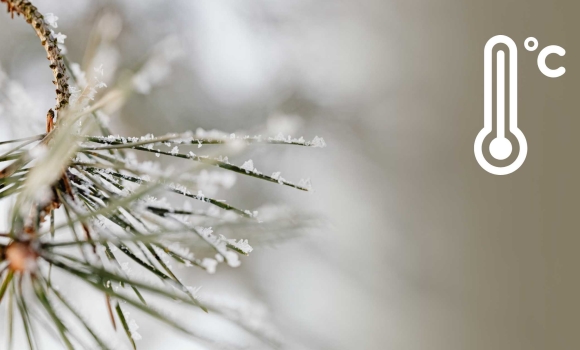 На Вінниччині очікується мокрий сніг та ожеледь – попереджають синоптики На Вінниччині очікується мокрий сніг та ожеледь – попереджають синоптики