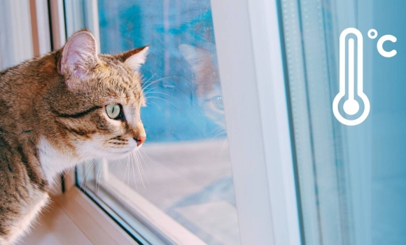 На Вінниччині очікуються потужні пориви вітру та сильне похолодання